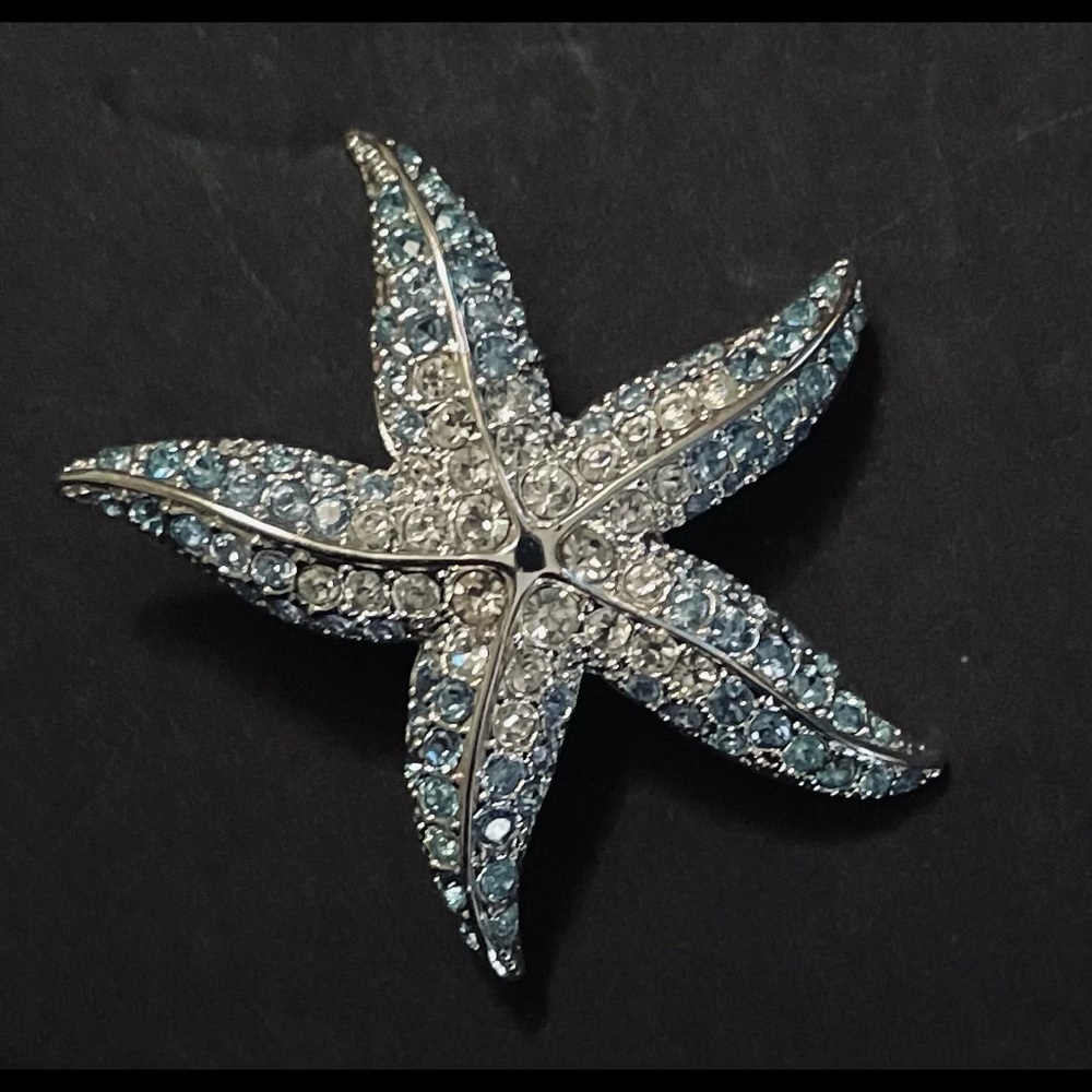 Starfish Brooch